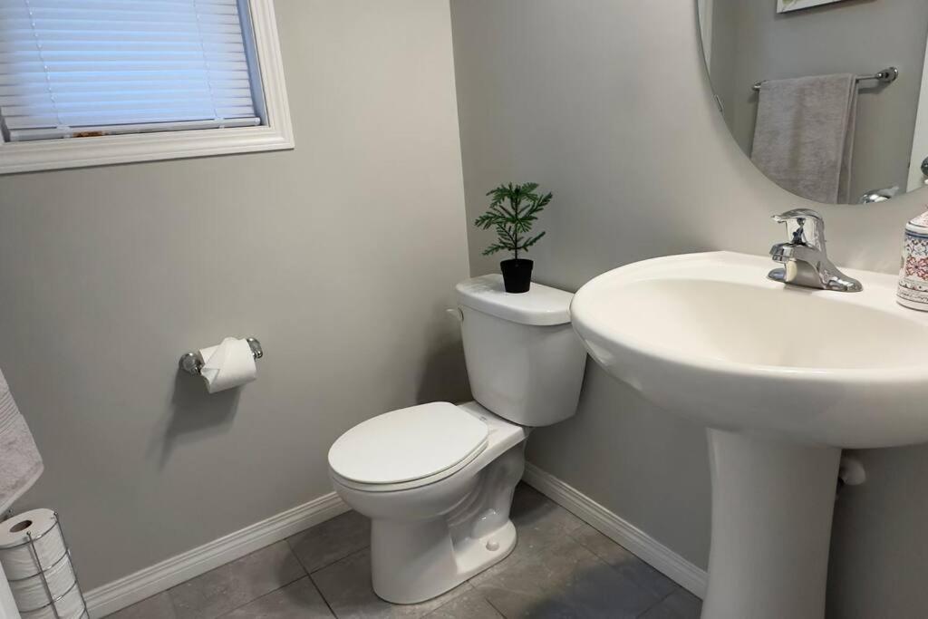 Cozy Near Airport Holiday home *