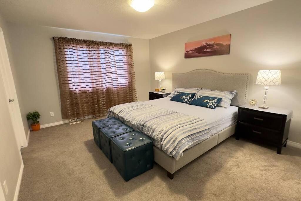 Cozy Near Airport Calgary